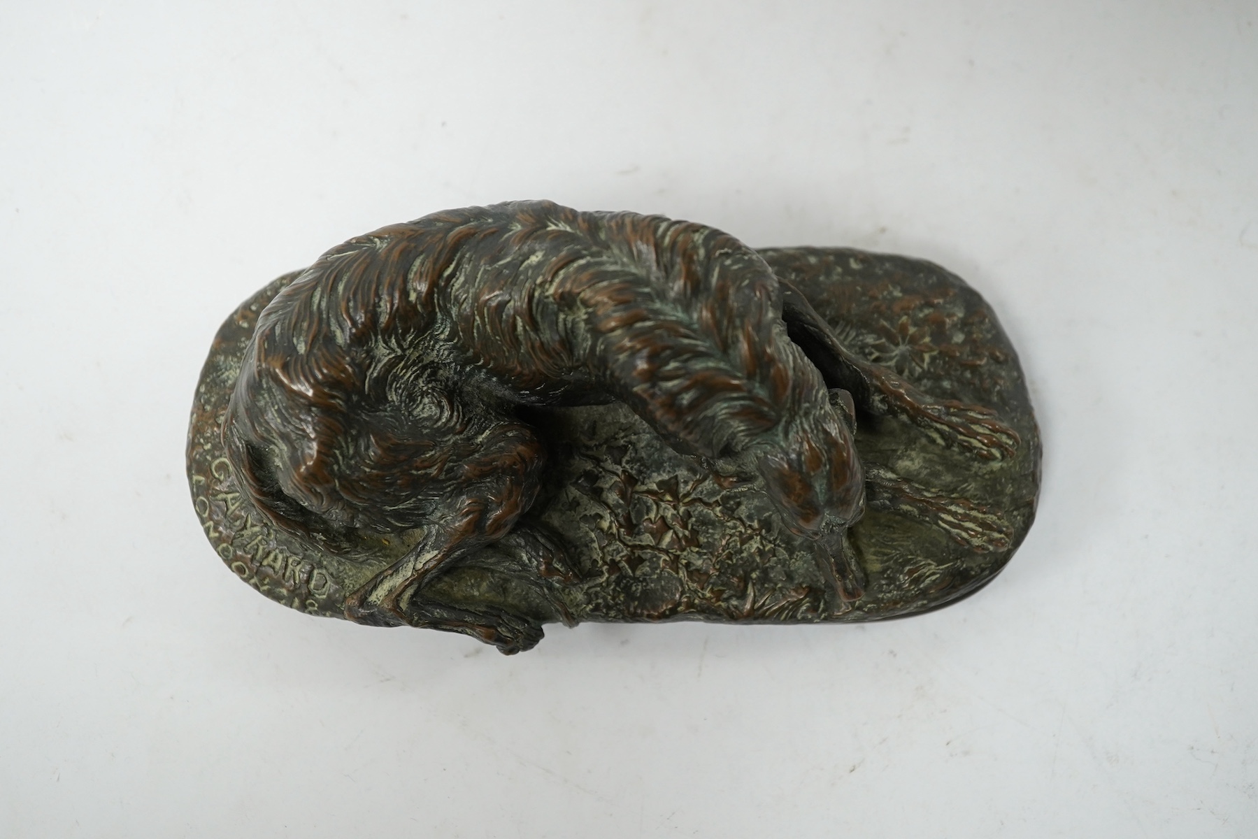 After Paul Joseph Raymond Gayrard (1807-1855), a small bronze of a deerhound in repose, 15cm wide. Condition - fair/good